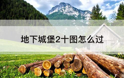 地下城堡2十图怎么过
