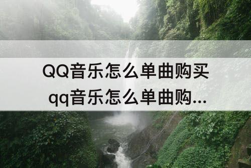 QQ音乐怎么单曲购买 qq音乐怎么单曲购买一首歌