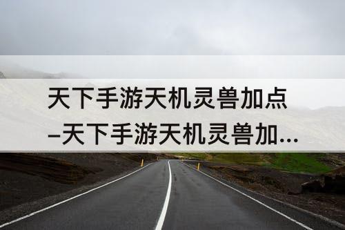 天下手游天机灵兽加点-天下手游天机灵兽加点推荐