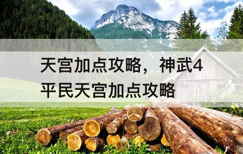 天宫加点攻略，神武4平民天宫加点攻略