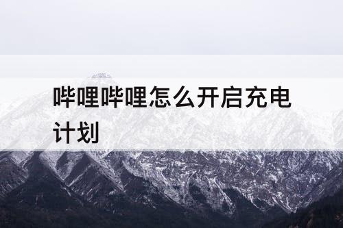 哔哩哔哩怎么开启充电计划