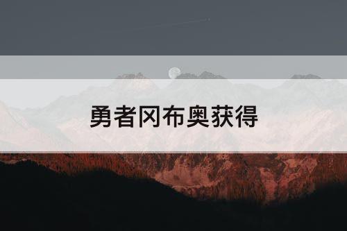 勇者冈布奥获得