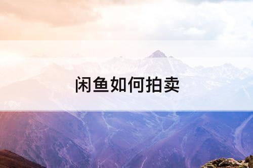 闲鱼如何拍卖