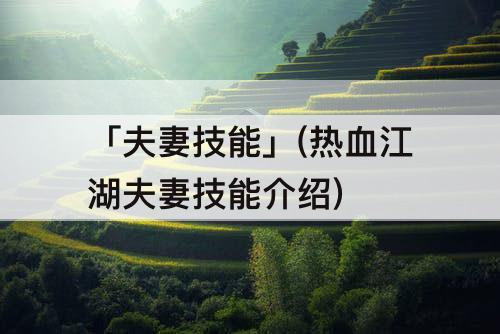 「夫妻技能」(热血江湖夫妻技能介绍)