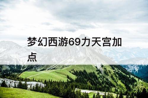 梦幻西游69力天宫加点