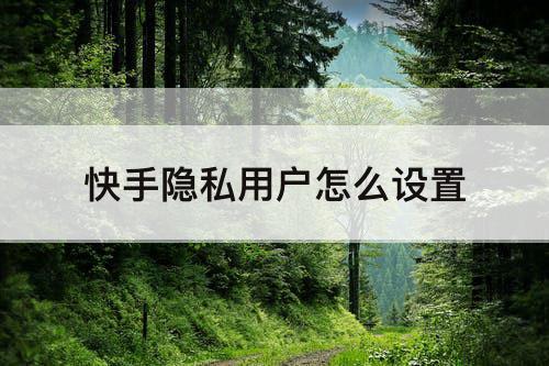 快手隐私用户怎么设置