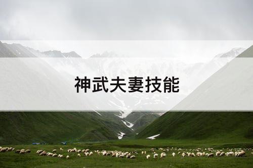 神武夫妻技能
