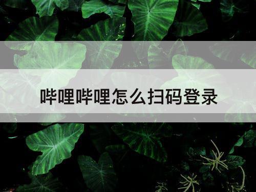 哔哩哔哩怎么扫码登录
