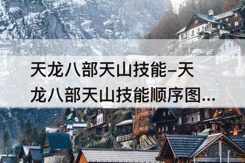 天龙八部天山技能-天龙八部天山技能顺序攻略