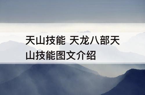 天山技能 天龙八部天山技能图文介绍