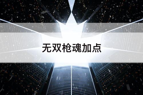 无双枪魂加点