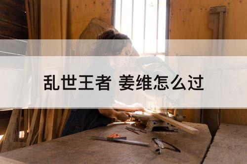 乱世王者 姜维怎么过