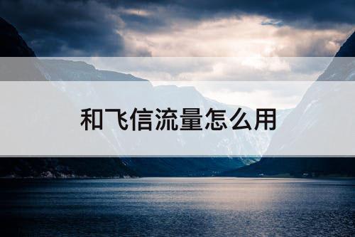 和飞信流量怎么用
