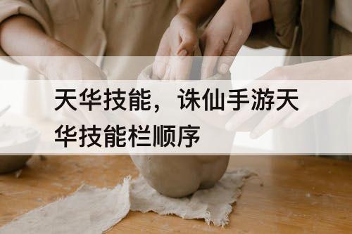 天华技能，诛仙手游天华技能栏顺序