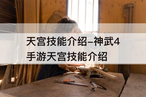 天宫技能介绍-神武4手游天宫技能介绍
