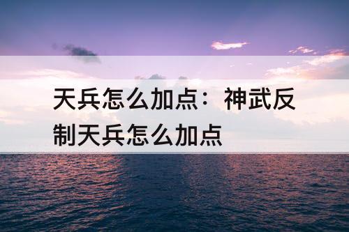 天兵怎么加点：神武反制天兵怎么加点