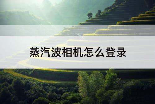 蒸汽波相机怎么登录
