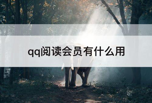 qq阅读会员有什么用