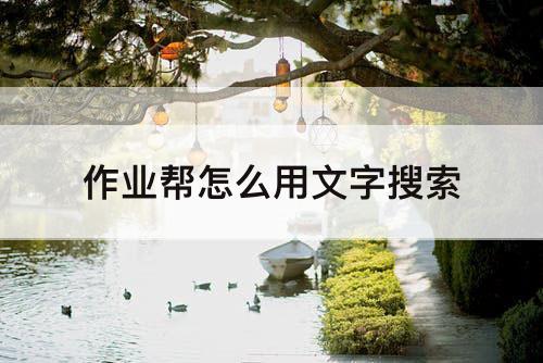 作业帮怎么用文字搜索