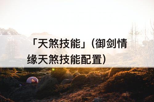 「天煞技能」(御剑情缘天煞技能配置)