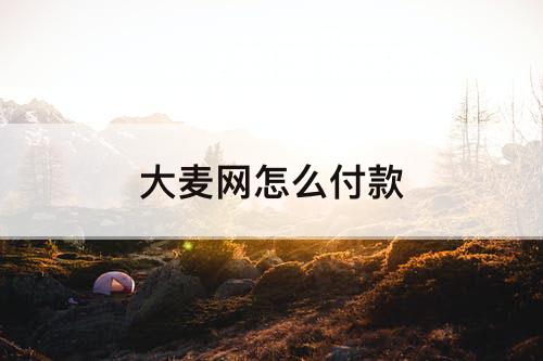 大麦网怎么付款