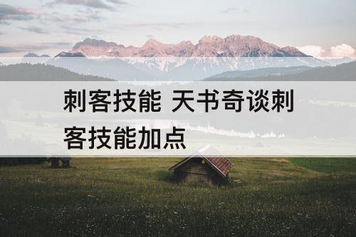 刺客技能 天书奇谈刺客技能加点