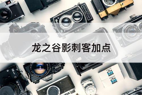 龙之谷影刺客加点