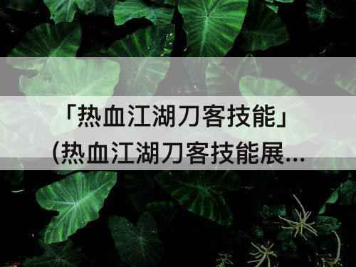 「热血江湖刀客技能」(热血江湖刀客技能展示)