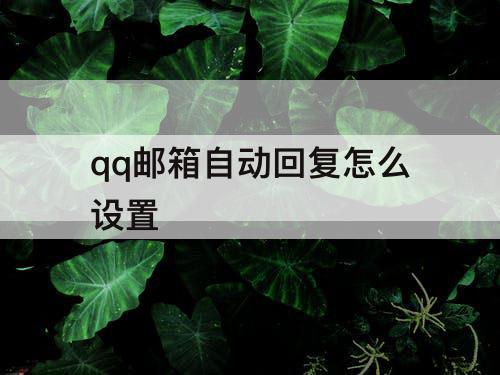 qq邮箱自动回复怎么设置