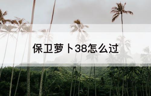 保卫萝卜38怎么过