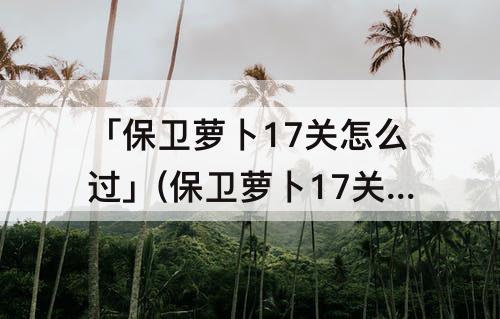 「保卫萝卜17关怎么过」(保卫萝卜17关怎么过关)