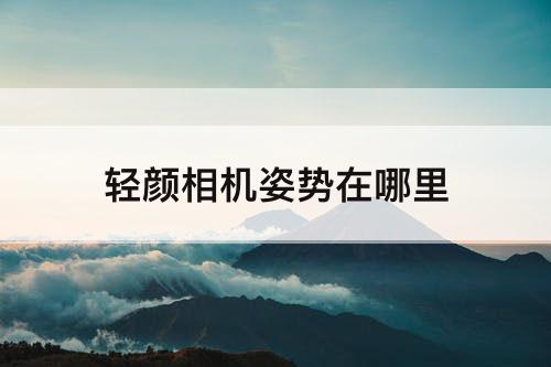 轻颜相机姿势在哪里