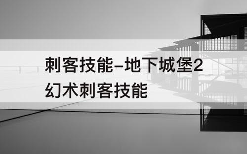 刺客技能-地下城堡2幻术刺客技能