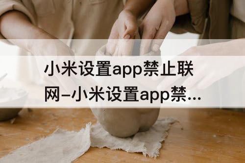 小米设置app禁止联网-小米设置app禁止联网有提示吗