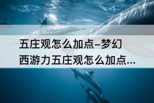 五庄观怎么加点-梦幻西游力五庄观怎么加点最好