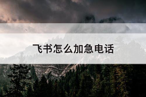 飞书怎么加急电话