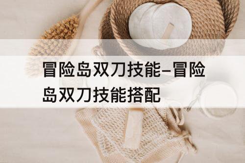 冒险岛双刀技能-冒险岛双刀技能搭配