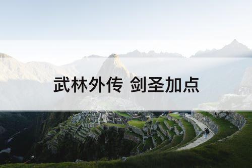 武林外传 剑圣加点
