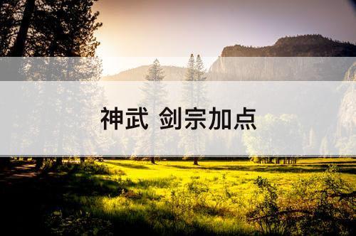 神武 剑宗加点