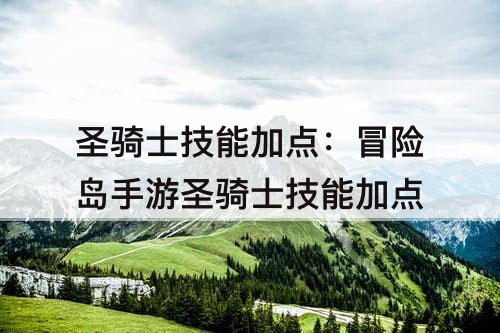圣骑士技能加点：冒险岛手游圣骑士技能加点