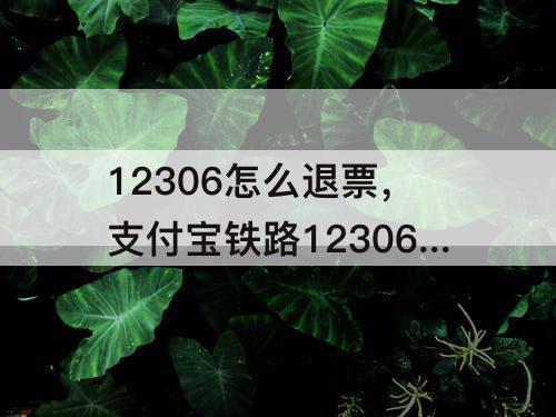 12306怎么退票，支付宝铁路12306怎么退票