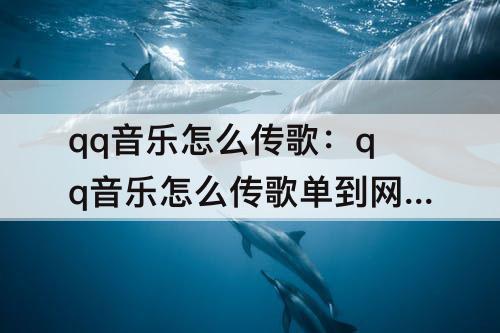 qq音乐怎么传歌：qq音乐怎么传歌单到网易云