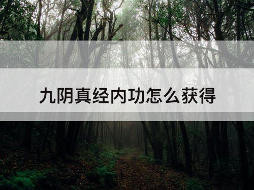 九阴真经内功怎么获得