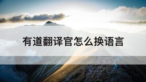 有道翻译官怎么换语言