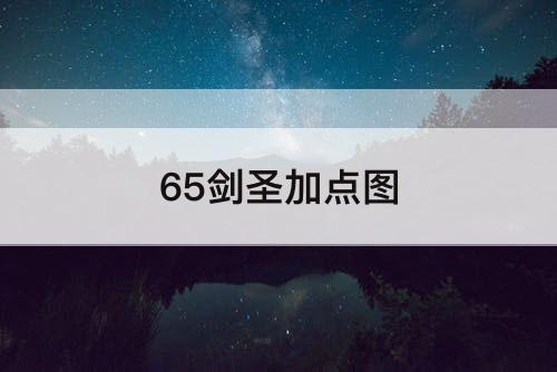 65剑圣加点图