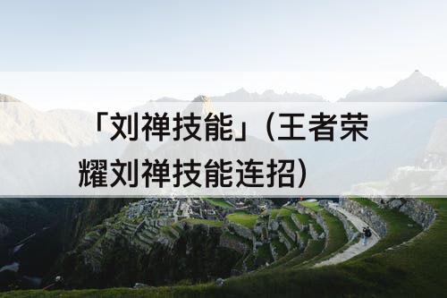 「刘禅技能」(王者荣耀刘禅技能连招)