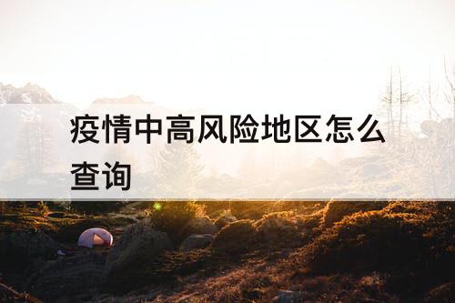 疫情中高风险地区怎么查询