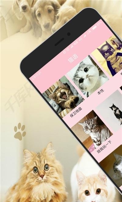 狗语翻译器  v3.5图2