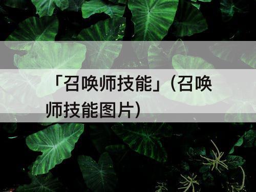 「召唤师技能」(召唤师技能图片)