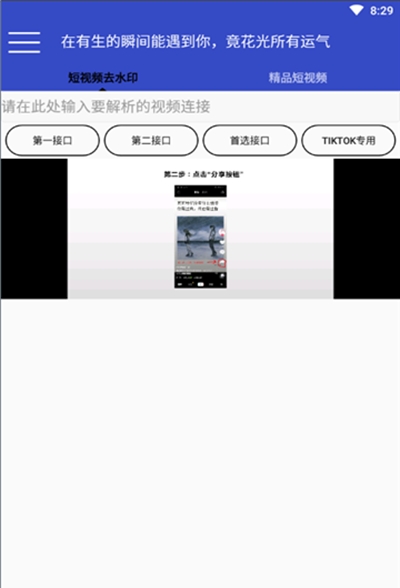 牛X解析  v2.8图2